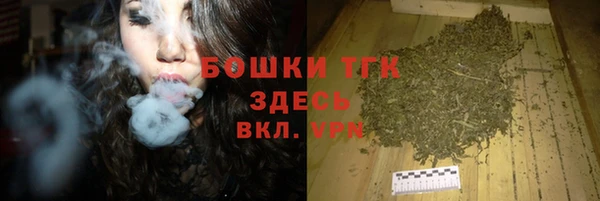 гидра Алексеевка
